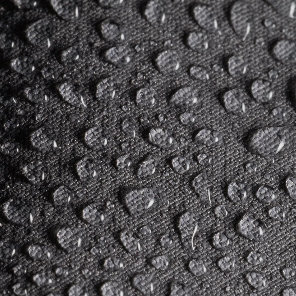 Lizard 2.0 Nylon Pants Graphite