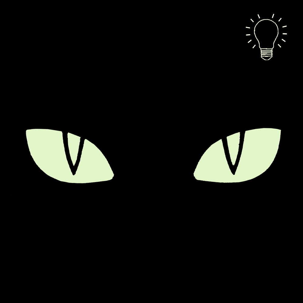 Camotec Cat Eyes Patch (2.5*8) Black/Lumin