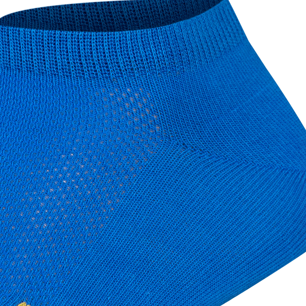 Socks Ukraine Yellow-Blue