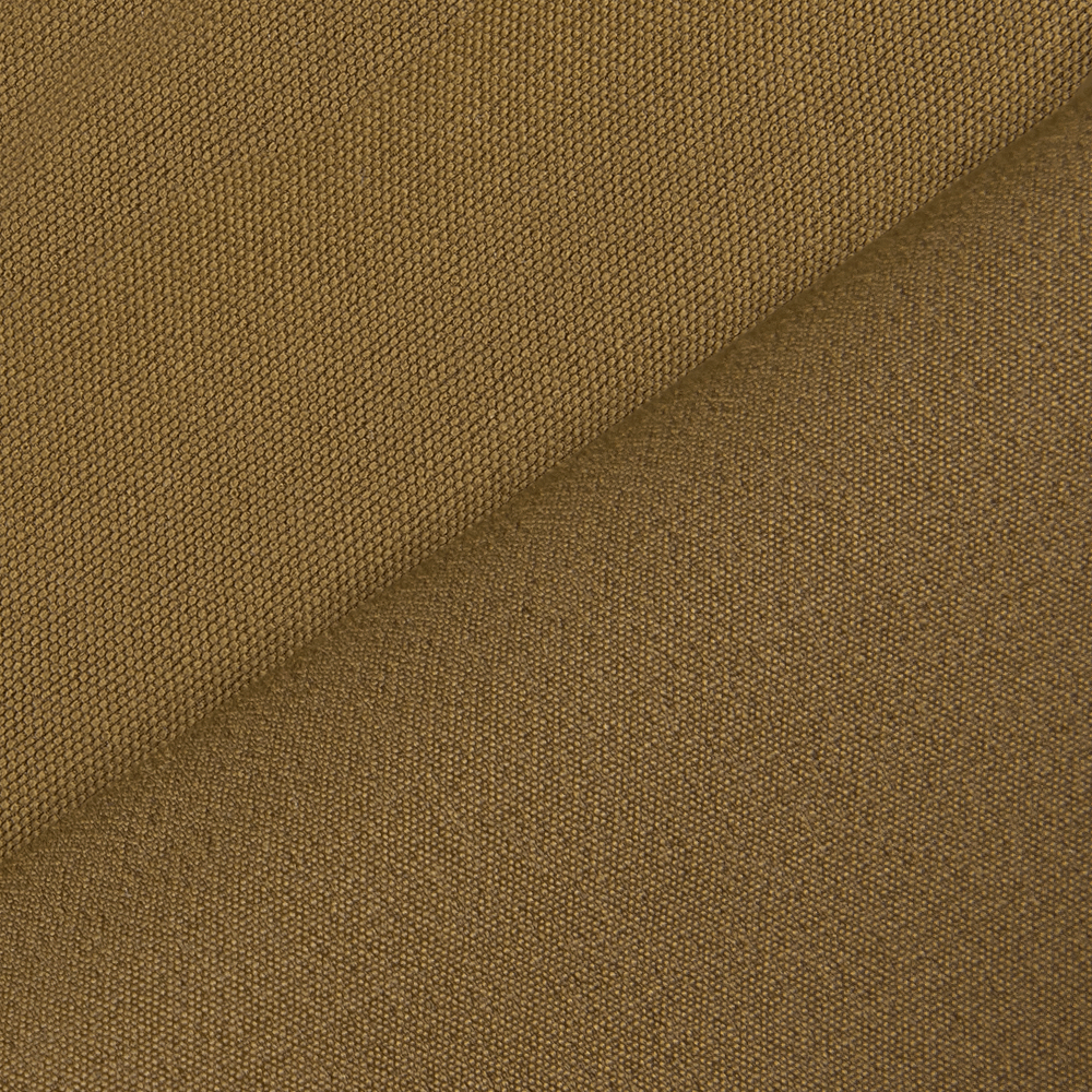 Lizard Nylon Coyote Shorts