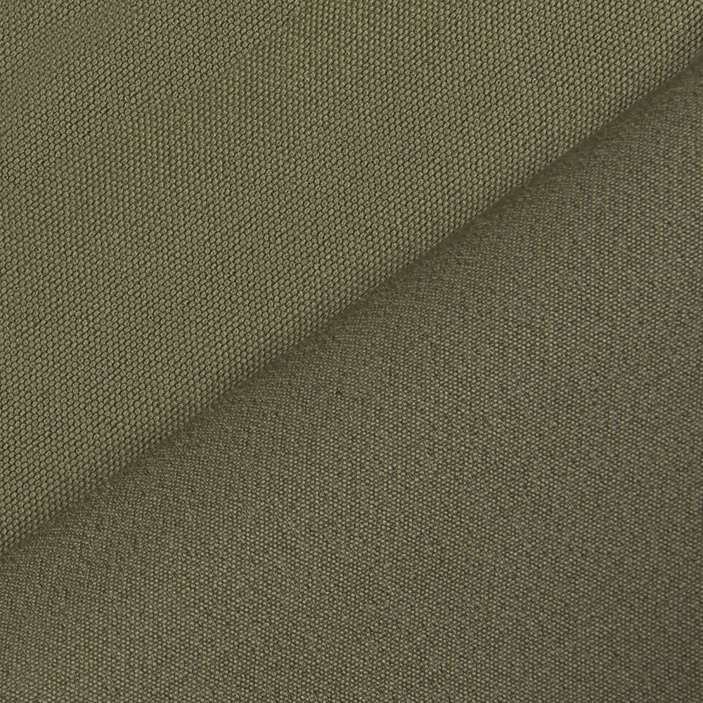 Lizard Nylon Olive Shorts